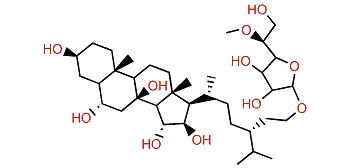 Oreasteroside F